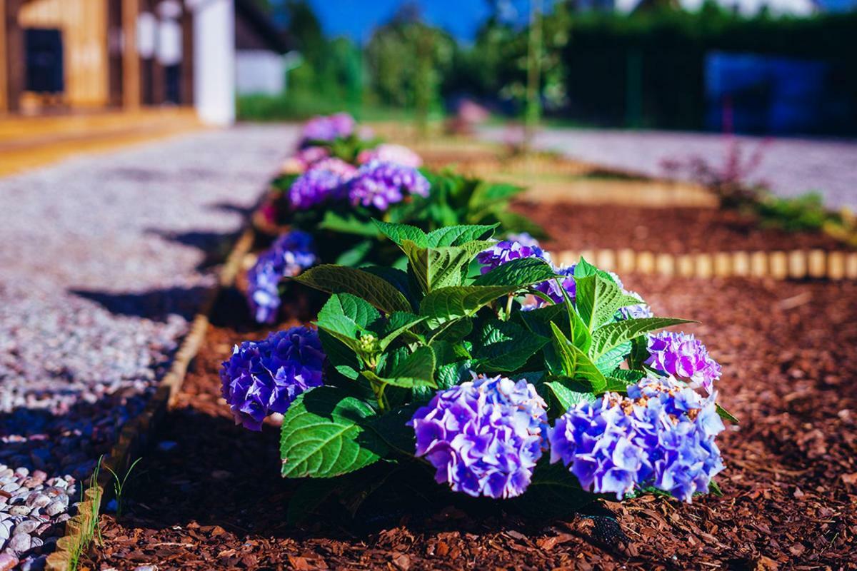 Apartamenty Wiatr I Woda Mikołajki Exterior foto